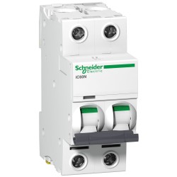A9F44202 Schneider Electric