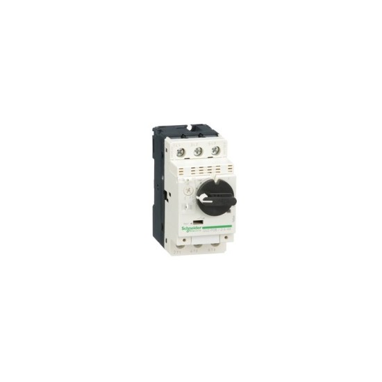GV2P08 Schneider Electric GV2P08 Schneider Electric